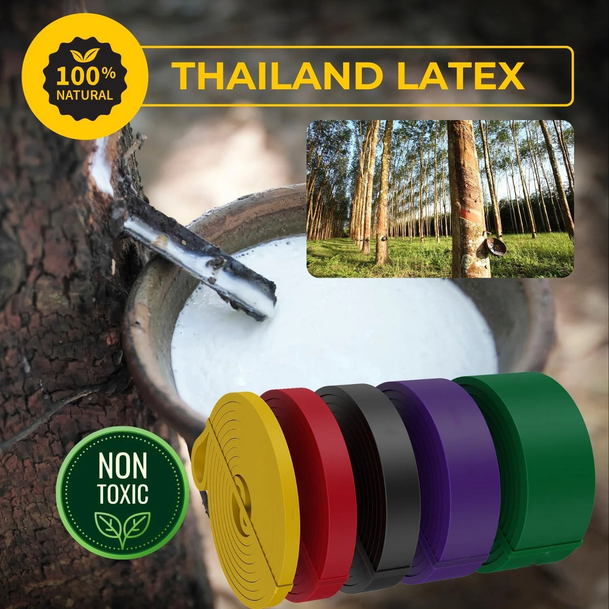 Exercise Resistance Bands | Natural Latex Rubber for Home Gym Fitness